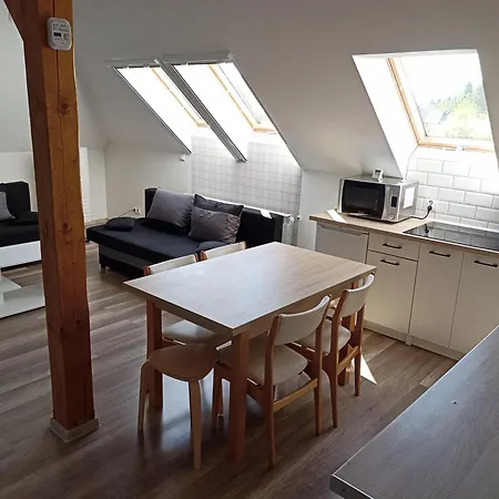 Apartment Gorskie Marzenie - I Z Sauna Blisko Zatora I Energylandii